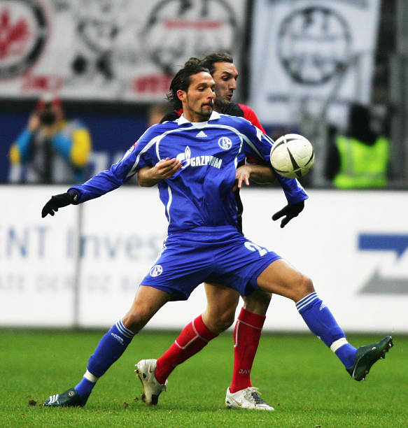 显得更加复 显得更加复