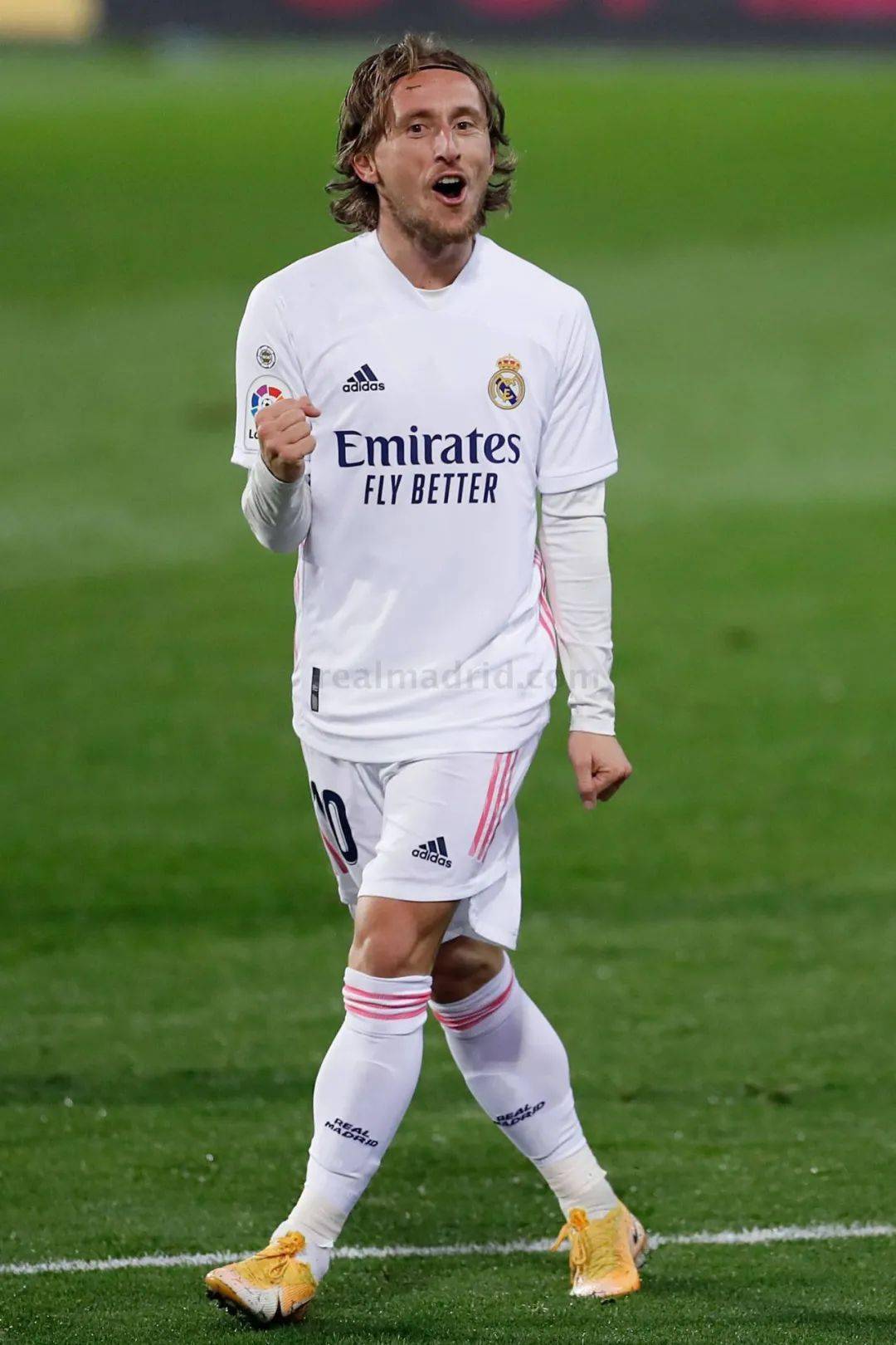 最好的例证 最好的例证